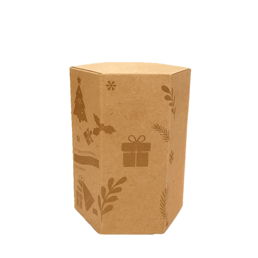 CARDBOARD SIDUL